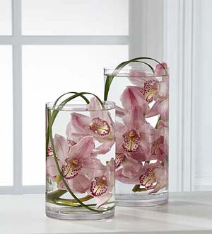 The FTD Tranquil Orchid Arrangement