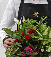 FTD Florist Designed Blooming and Green Plants in a Basket
