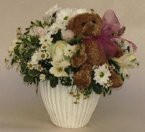 Baby Birth Arrangement