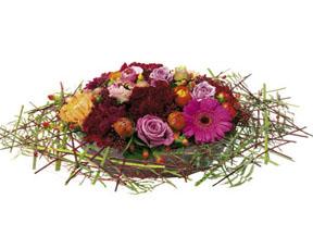 Arrangement of Cut Flowers