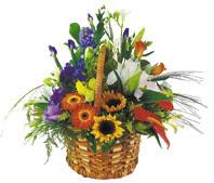 Basket Arrangement