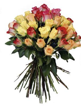 Bouquet of Multicolor Roses