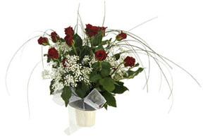 Bouquet of Red Roses