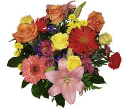 Mixed Cut Flowers
