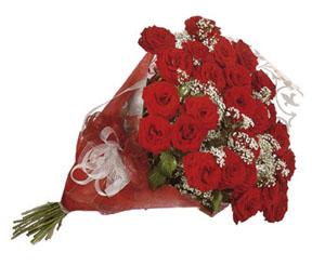 Bouquet of Red Roses, no vase