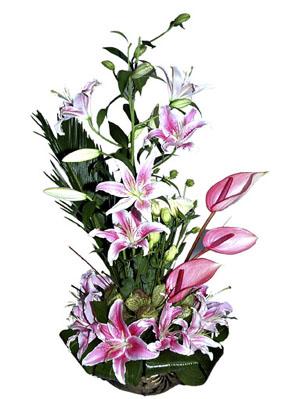 Arrangement of Cut Flowers
