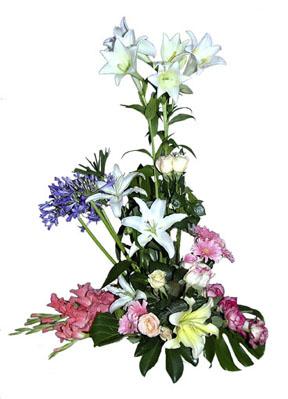 Arrangement of Cut Flowers