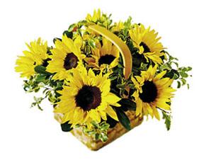 The FTD Sunflower Basket