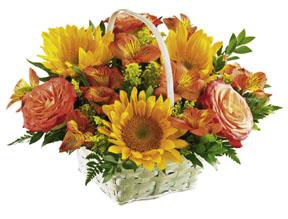 The FTD Happy Blooms Basket