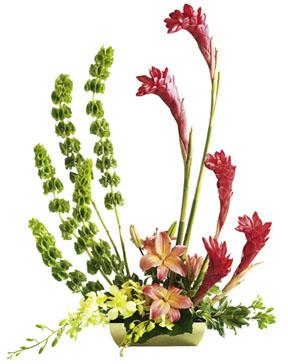 The FTD Touch of Tropics Arrangement