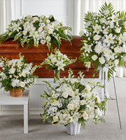 Sincerest Condolences Bundles