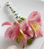 The FTD Pink Peruvian Lily Boutonniere