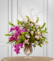 The FTD Soft Sophistication Arrangement