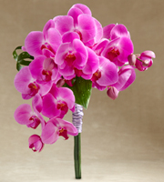 The FTD Glorious Bouquet