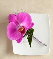 The FTD Glorious Boutonniere