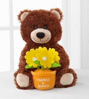 Thanks a Bunch Message Bear by Build-A-Bear Workshop