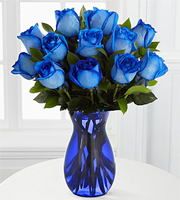 Extreme Blue Hues Fiesta Rose Bouquet - 12 Stems