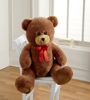 Give Me a Hug Giant Plush Bear