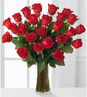 2 Dozen Red Roses with Vase