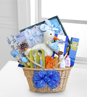 Special Stork Delivery Baby Boy Basket