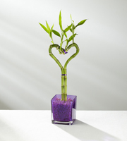 You Make My Heart Happy Mother's Day Bamboo - Single