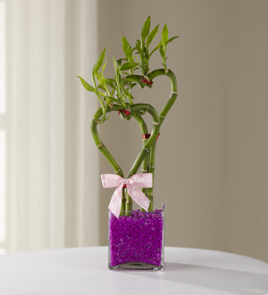 Magnificent Mom Mother\'s Day Bamboo - BETTER