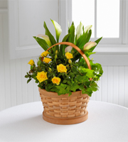 The FTD Cheerful Wishes Blooming Basket by Better Homes and Gardens