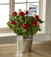 The FTD Bright & Happy Birthday Mini Rose by Hallmark