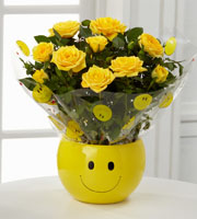 Sending a Smile Mini Rose Plant
