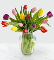 Rush of Color Assorted Tulip Bouquet with FREE Vase - 15 Stems